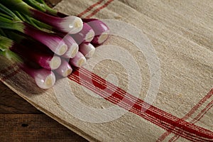 Bunch of onions on the tablecloth