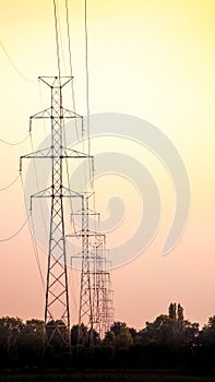 Bunch op electricity  poles at sunset