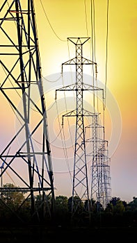 Bunch op electricity  poles at sunset