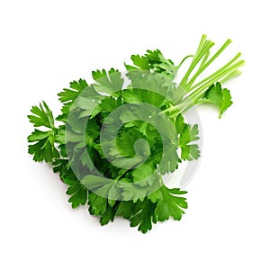 Bunch of a organic fresh parsley ingredient for cooking with white background Generative AI Illustration