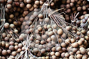 Bunch of organic raw brown Longan at fresh market in the summer of Thailand, fruit