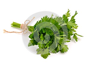 Bunch of Parsley isolated on white background. photo