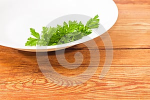 Bunch of parsley on a white dish closeup