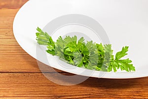 Bunch of parsley on a white dish closeup