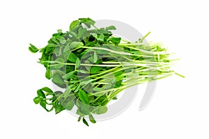 Bunch of pea shoots over a white background