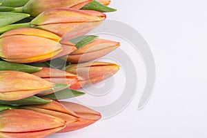 Bunch of Peach Color Tulips 2