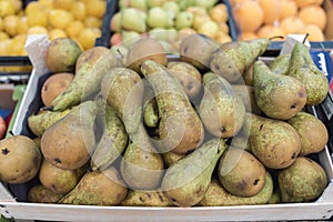 A bunch of pears in a fruit stand photo