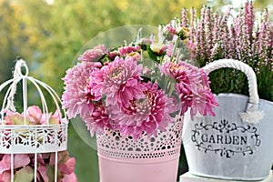 Bunch of pink chrysanthemum and heather flowers