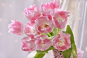 Bunch of pink fancy frills tulips