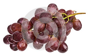 bunch of pink grapes on a white background