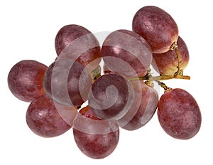 Bunch of pink grapes on a white background