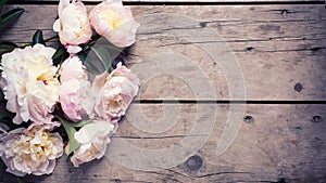 Bunch of pink peonies flowers on aged wooden background.