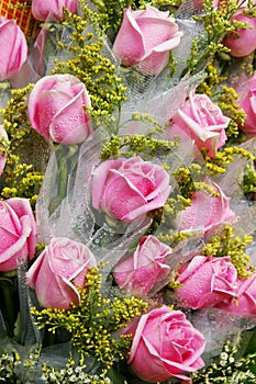 Bunch of pink roses