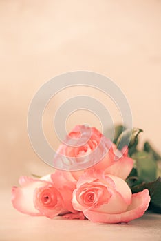 Bunch of pink roses on concrete background. Surprise Valentine`s Day, soft color toned. Copy space