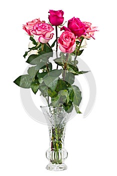 Bunch of pink roses in vase