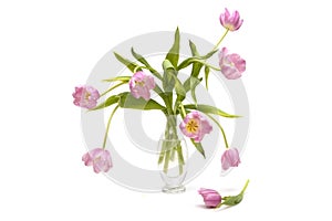 Bunch of pink tulips in a clear vase