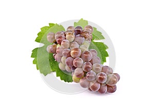 Bunch of Pinot Gris grape with multicolored berries photo