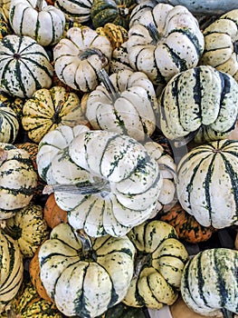 Bunch of Pumpkins at Market