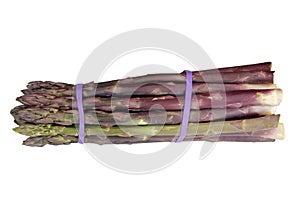 Bunch of Purple Asparagus on White