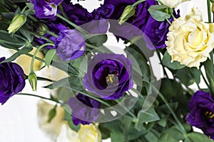 Bunch of purple and beige eustoma flowers prairie gentian on white background. Fresh open flowers and close buds on a twig