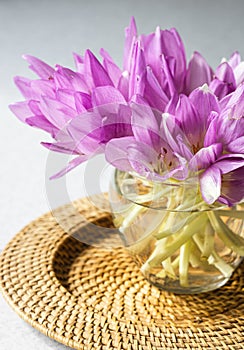 Bunch of purple crocus flowers in a glass vase.