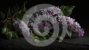 a bunch of purple flowers sitting on top of a tabl