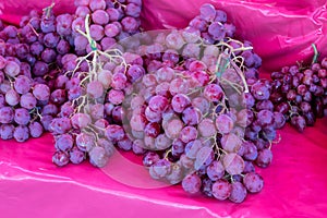 A bunch of purple grapes on a pink canvas