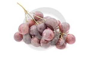 Bunch of purple large grapes on a white background