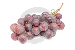 Bunch of purple large grapes on a white background