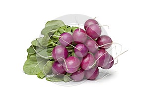 Bunch of purple Radish