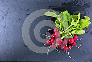 Bunch of radish with leaves on dark background