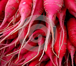 Bunch of radishes.