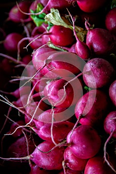 A bunch of radishes.