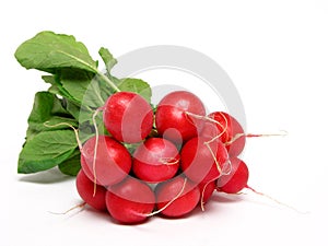 Bunch of radishes photo