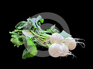 Bunch of radishes on black background