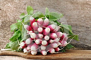 Bunch of radishes