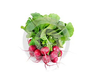 Bunch of radishes