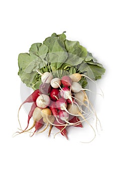 Bunch of rainbow radish