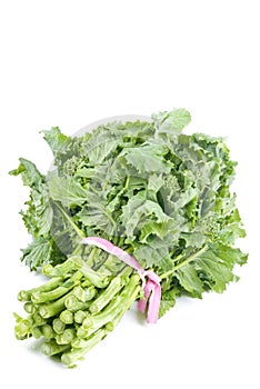 Bunch of Rapini