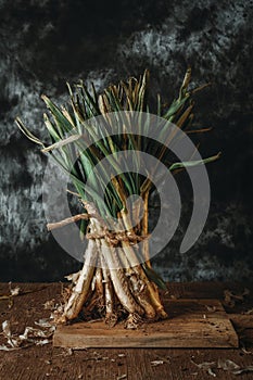 bunch of raw calcots, sweet onions typical of Catalonia