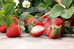 A bunch of raw fresh strawberries