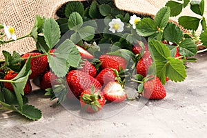 A bunch of raw fresh strawberries