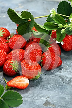 A bunch of raw fresh strawberries