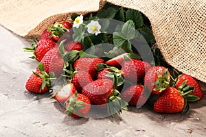 A bunch of raw fresh strawberries