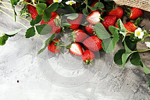 A bunch of raw fresh strawberries