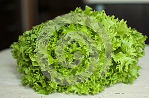 Bunch of raw organic green frisee salad close up.