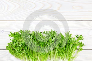 Bunch of raw organic green frisee salad on white wooden background. Close up. Top view