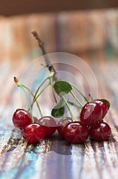 A bunch of red cherries.