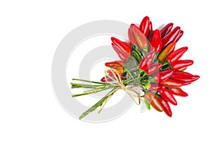 Bunch of red chili peppers tied rope. White background