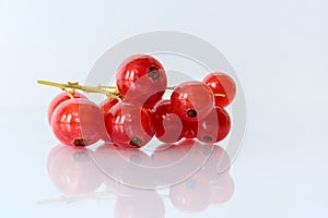 Bunch of red currant berries on a white background with reflection